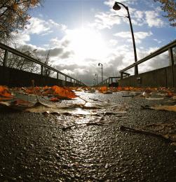 Pedestrian Bike Bridge 